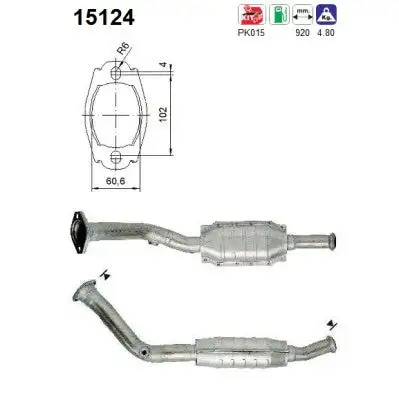 Catalyseur AS  15124