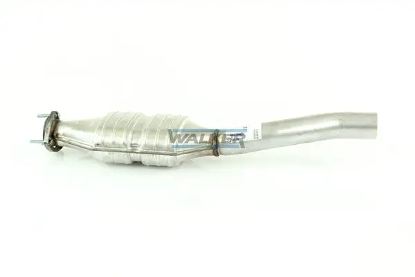 Catalyseur WALKER 20079