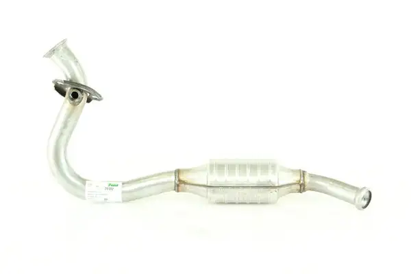 Catalyseur WALKER 20102