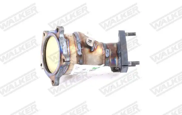Catalyseur WALKER 28236
