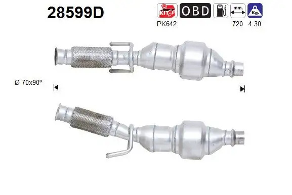 Catalyseur AS  28599D