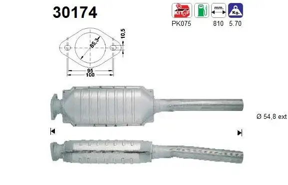 Catalyseur AS  30174