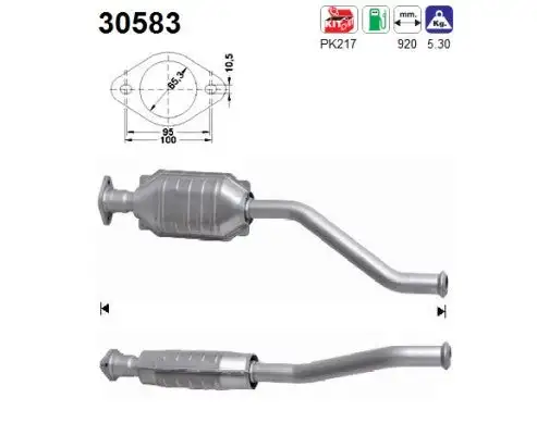 Catalyseur AS  30583