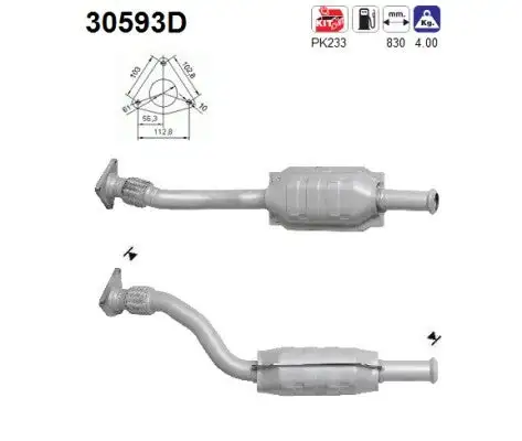 Catalyseur AS  30593D