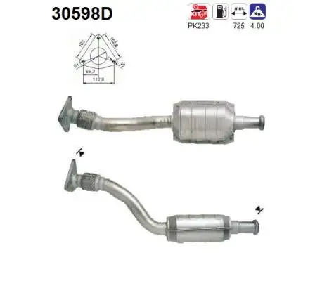Catalyseur AS  30598D