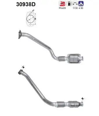 Catalyseur AS  30938D