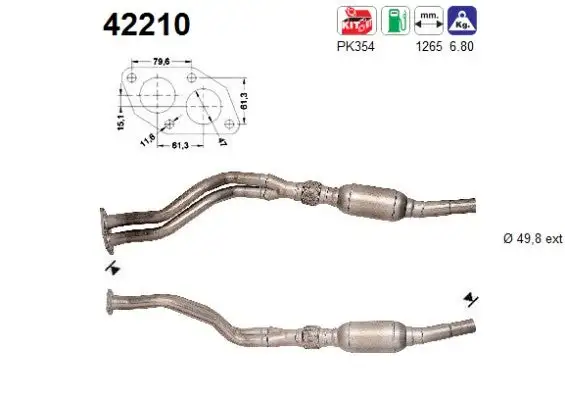 Catalyseur AS  42210